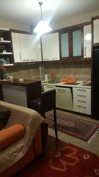 Апартаменты Larisa Жабляк Апартаменты с 1 спальней-9