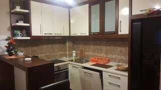 Апартаменты Larisa Жабляк Апартаменты с 1 спальней-10