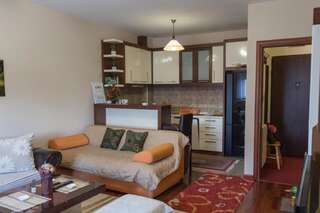 Апартаменты Larisa Жабляк Апартаменты с 1 спальней-25